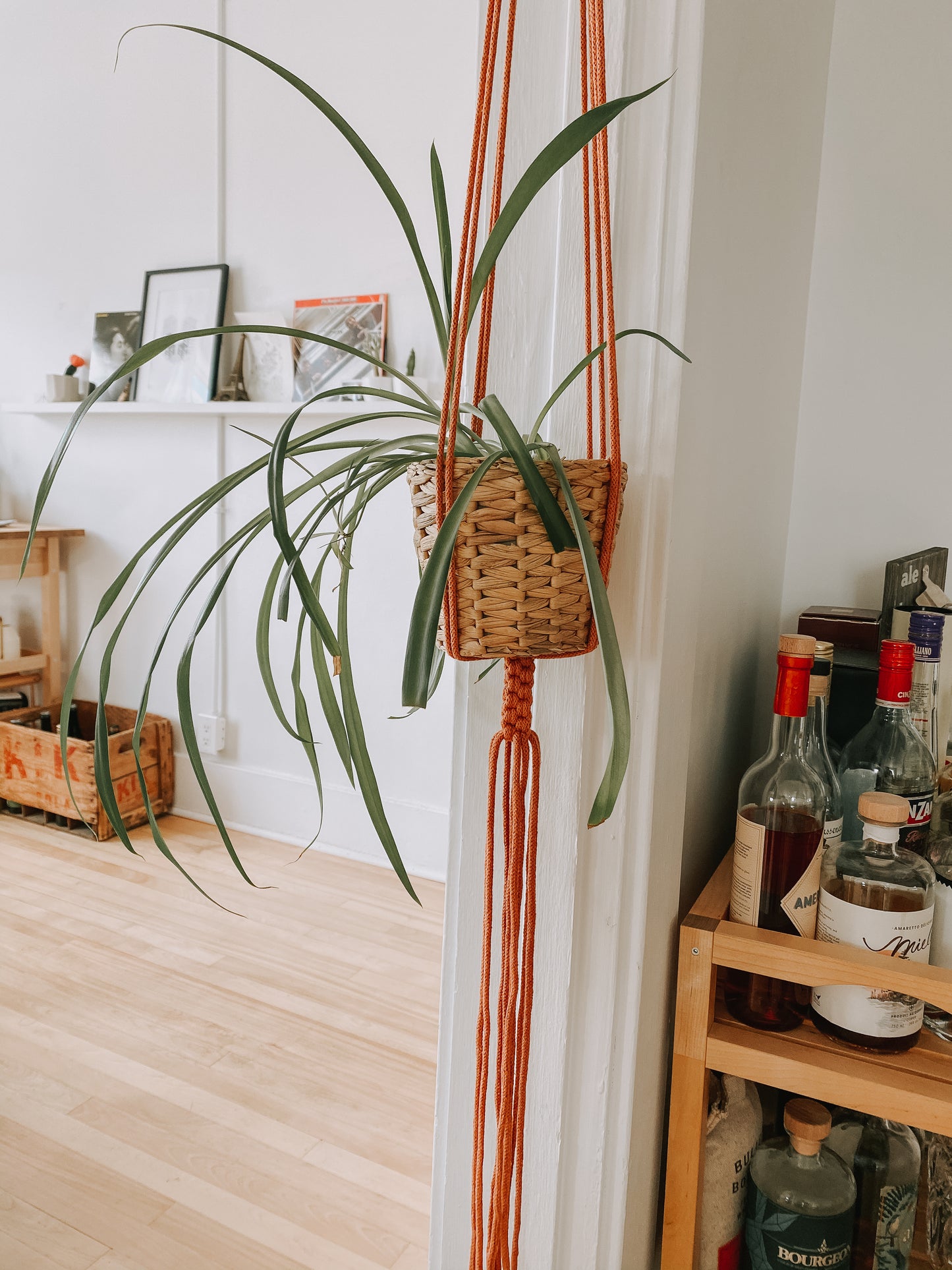 SOFIA, jardinière suspendue en macramé