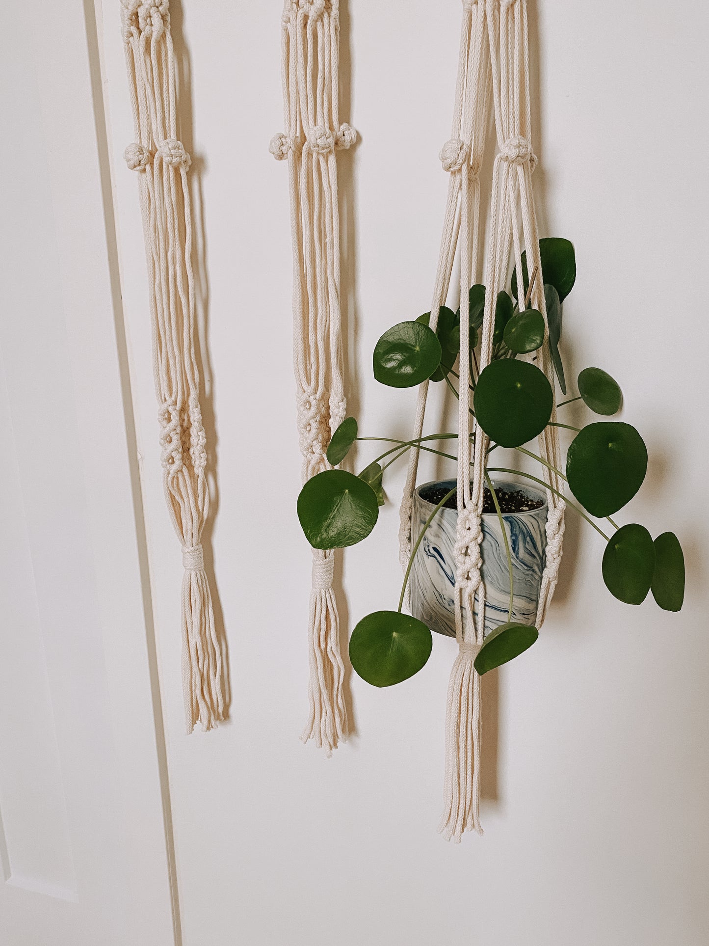 ADALINE, jardinière suspendue en macramé