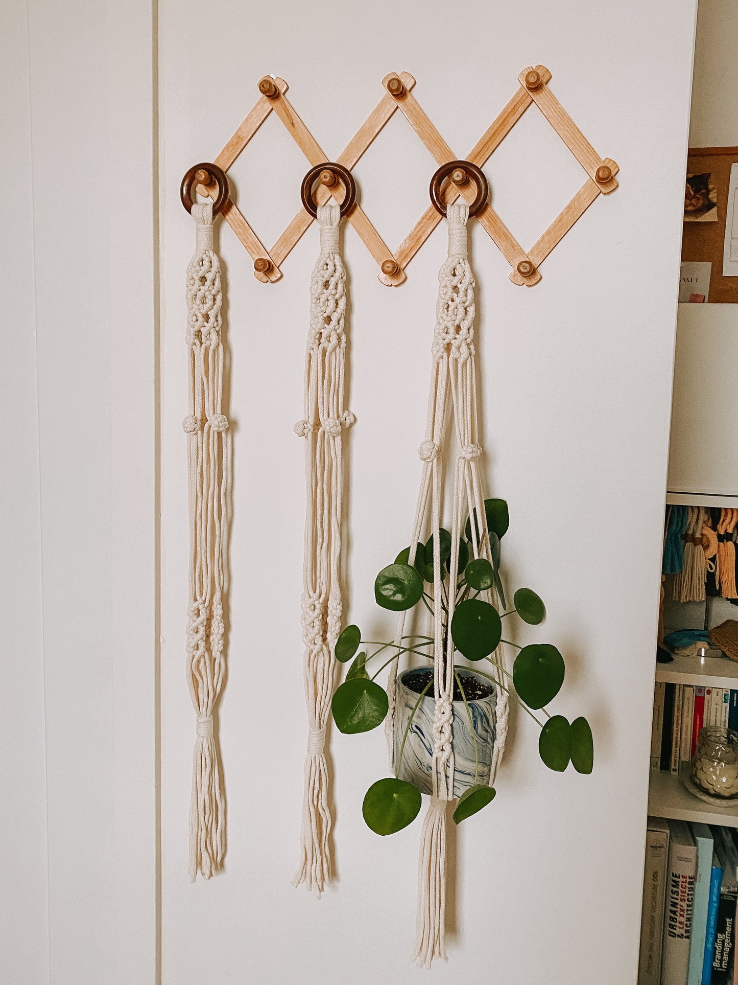 ADALINE, jardinière suspendue en macramé
