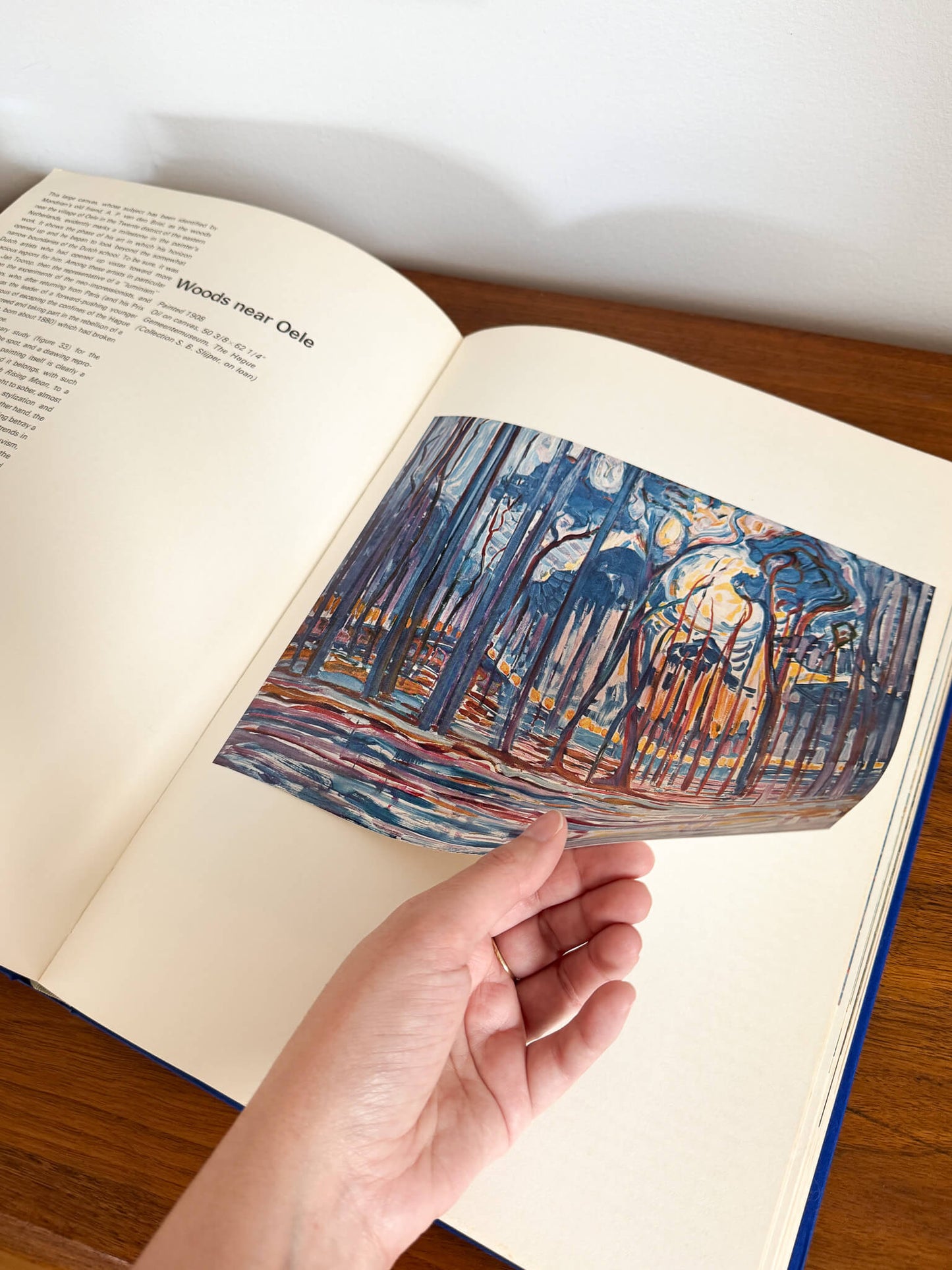 Livre Mondrian par Hans L. C. Jaffé